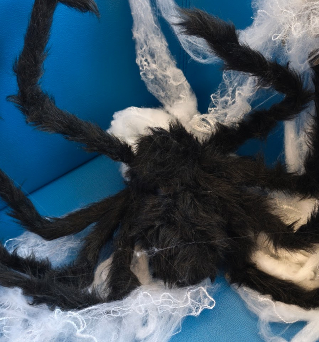 halloween2025_6.jpg halloween2025_6.jpg